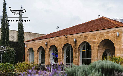 טעימות יין לזוג + גבינות