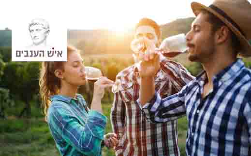 איש הענבים-סדנת יינות איטליה