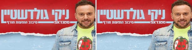 ניקי גולדשטיין