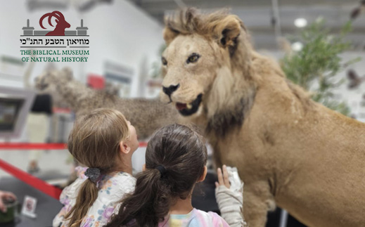 מוזיאון הטבע התנ"כי- כניסת ילד