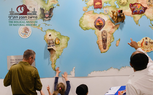 מוזיאון הטבע התנ"כי- כניסת מבוגר