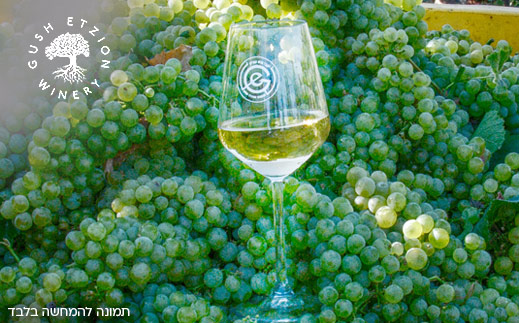 יקב גוש עציון- סיור וטעימות ליחיד