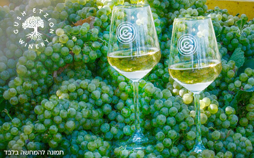 יקב גוש עציון- סיור וטעימות זוגי