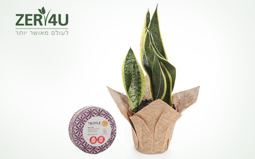 ZER4U- מארז רגע של פריחה