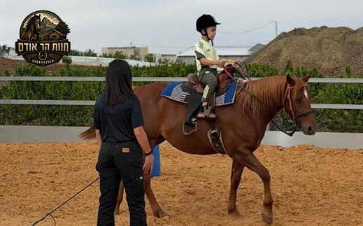 טיול סוסים- לאדם (75 דק)