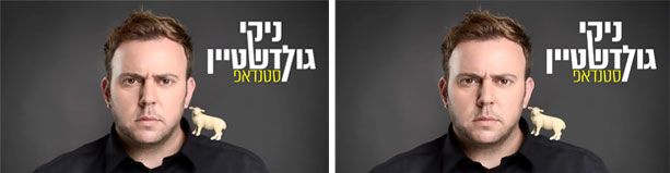 ניקי גולדשטיין