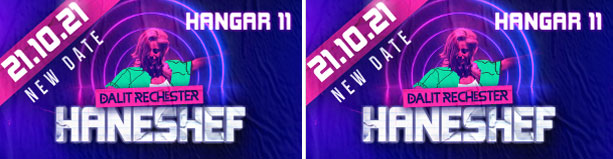 הנשף של דלית רצ'סטר